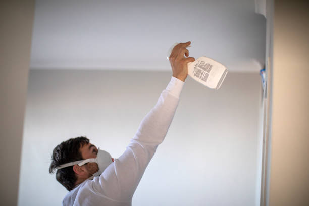 Best Certified Mold Removal  in Hurlburt Field, FL